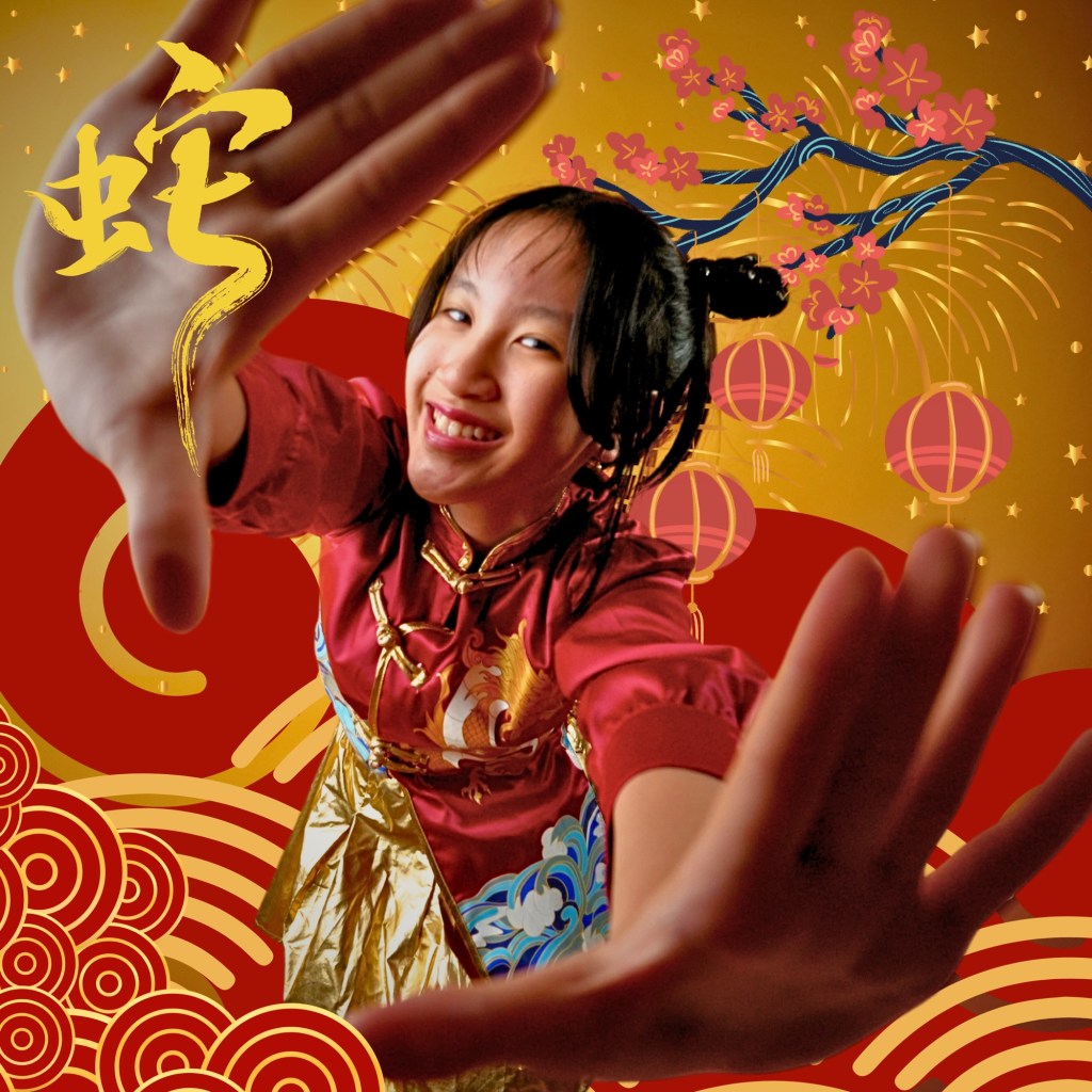 Shiradom – Gong Xi Fa Cai (Everybody&nbsp;Celebrate)